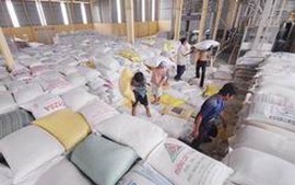 Xây dựng quy chuẩn chung về kho chứa lúa, gạo